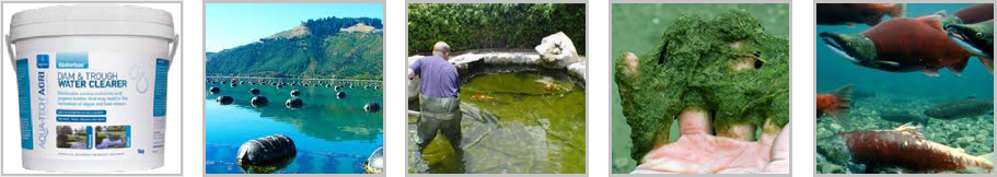 Aqua-Tech Waterbac Dam & Trough Water Clearer